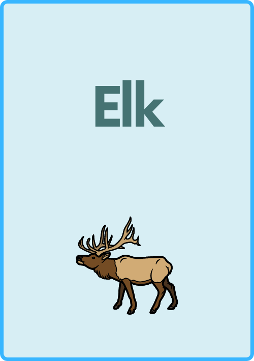 What Starts with Letter E Words Worksheets Printable PDF